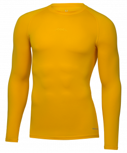 Футболка компрессионная с длинным рукавом Jögel PerFormDRY Baselayer Tee LS 2, желтый ― купить в Москве. Цена, фото, описание, продажа, отзывы. Выбрать, заказать с доставкой. | Интернет-магазин SPORTAVA.RU