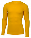 Футболка компрессионная с длинным рукавом Jögel PerFormDRY Baselayer Tee LS 2, желтый