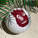 Мяч волейбольный Wilson Castaway WTH4615XDEF, размер 5 (5)