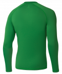 Джемпер компрессионный Jögel PerFormDRY Baselayer Warm Top, зеленый