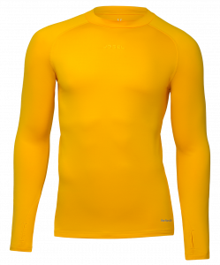 Джемпер компрессионный PerFormDRY Baselayer Warm Top, желтый ― купить в Москве. Цена, фото, описание, продажа, отзывы. Выбрать, заказать с доставкой. | Интернет-магазин SPORTAVA.RU