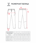 Брюки спортивные Jögel CAMP 2 Lined Pants, черный