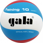 Мяч волейбольный GALA Training 10, размер 5 (5)