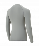 Футболка компрессионная с длинным рукавом Jögel PerFormDRY Baselayer LS Tee, серый