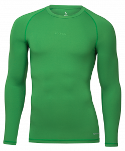 Футболка компрессионная с длинным рукавом Jögel PerFormDRY Baselayer Tee LS 2, зеленый ― купить в Москве. Цена, фото, описание, продажа, отзывы. Выбрать, заказать с доставкой. | Интернет-магазин SPORTAVA.RU