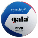 Мяч волейбольный GALA Pro-Line 12, FIVB, профессиональный, размер 5 (5)