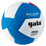 Мяч волейбольный GALA Pro-Line 12, FIVB, профессиональный, размер 5 (5)