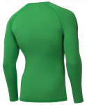 Футболка компрессионная с длинным рукавом Jögel PerFormDRY Baselayer Tee LS 2, зеленый