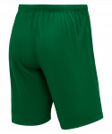 Шорты игровые Jögel DIVISION PerFormDRY Union Shorts, зеленый